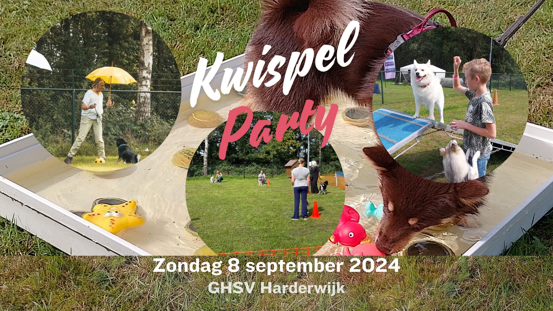 Kwispel Party 2024