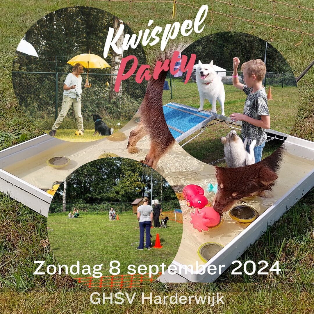 Kwispel Party 2024