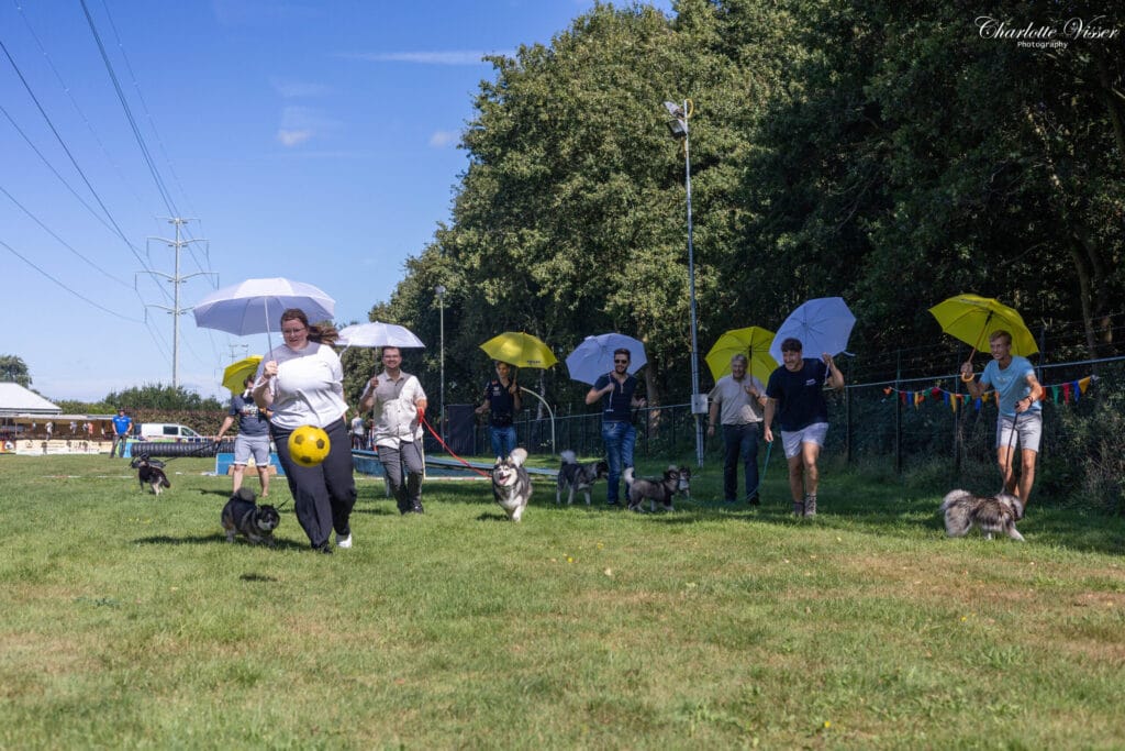 Kwispel Party 2024