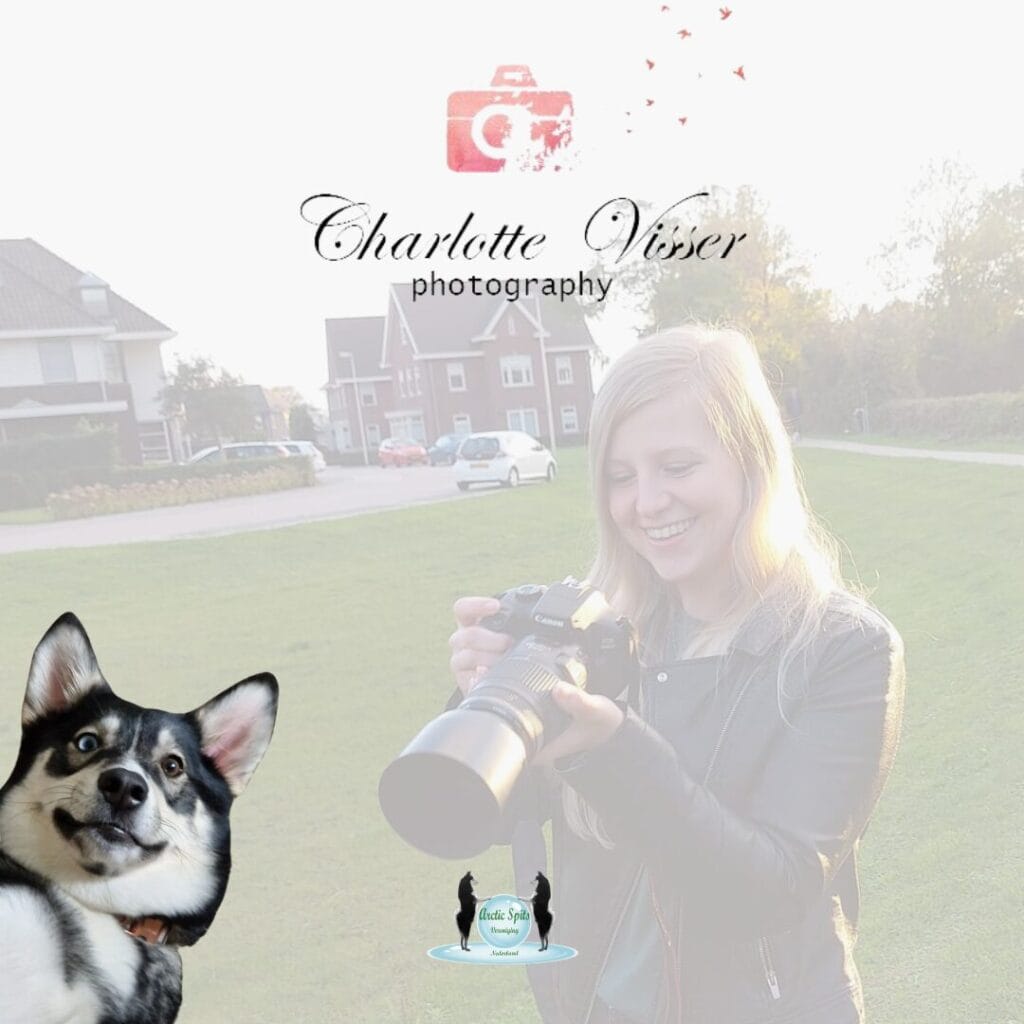 Kwispel Party 2024 - Charlotte Visser Photography