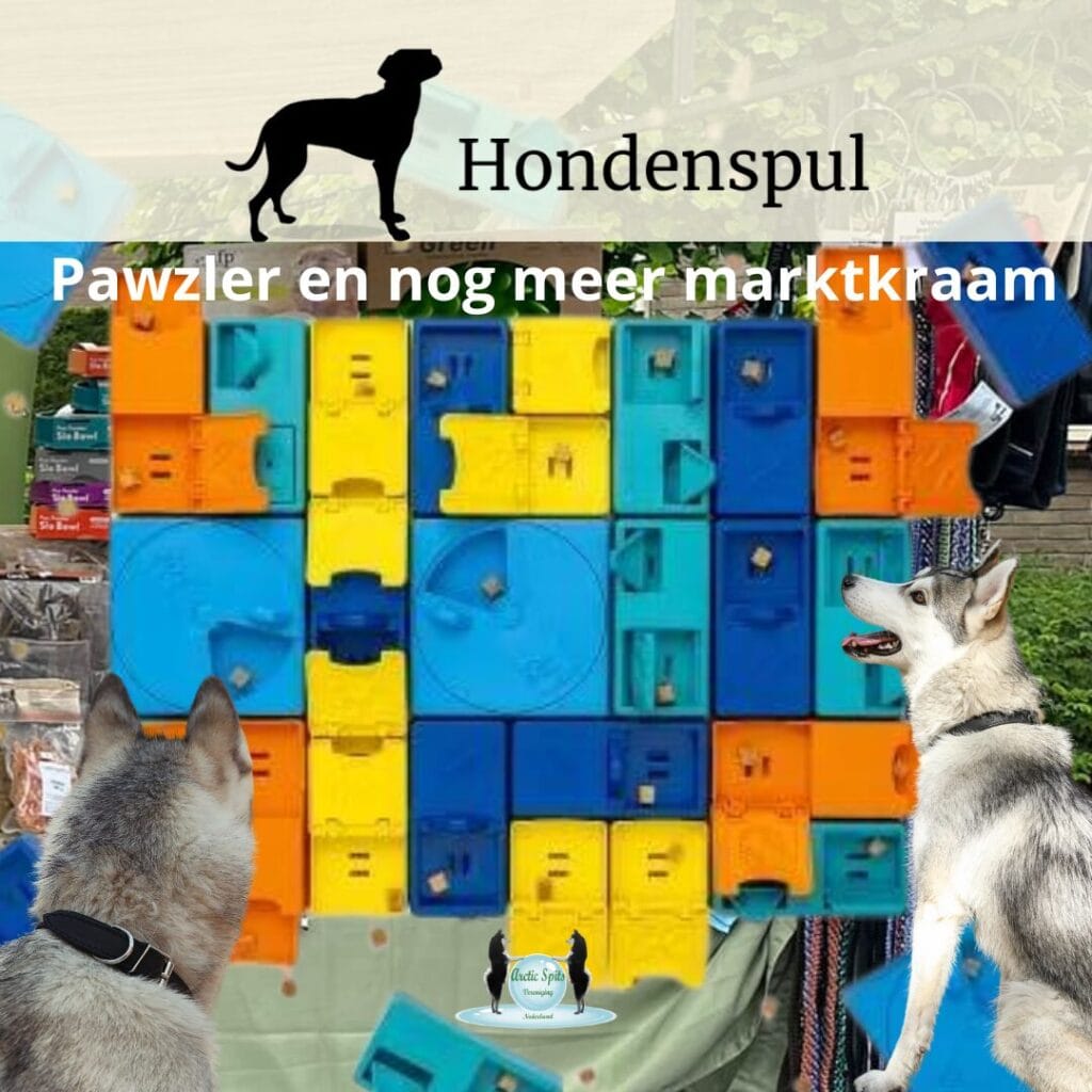 Kwispel Party 2024 - Hondenspul