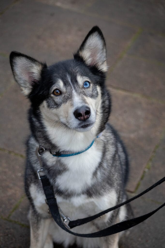 Nieuwjaarswandeling 2025