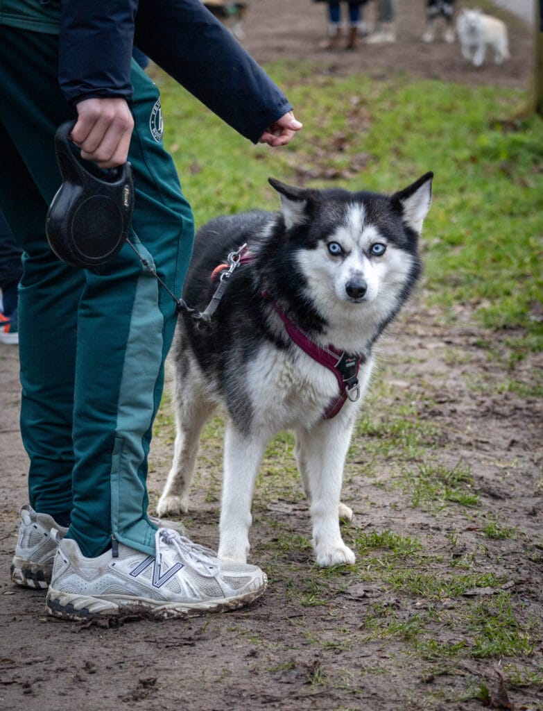 Nieuwjaarswandeling 2025