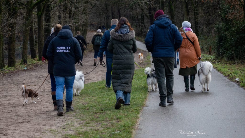 Nieuwjaarswandeling 2025