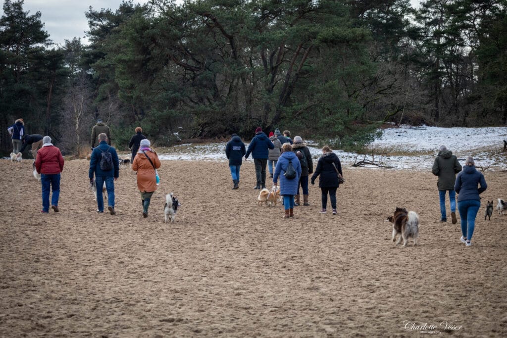 Nieuwjaarswandeling 2025