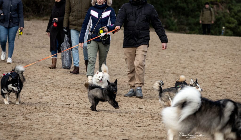 Nieuwjaarswandeling 2025