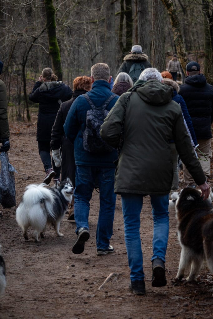 Nieuwjaarswandeling 2025