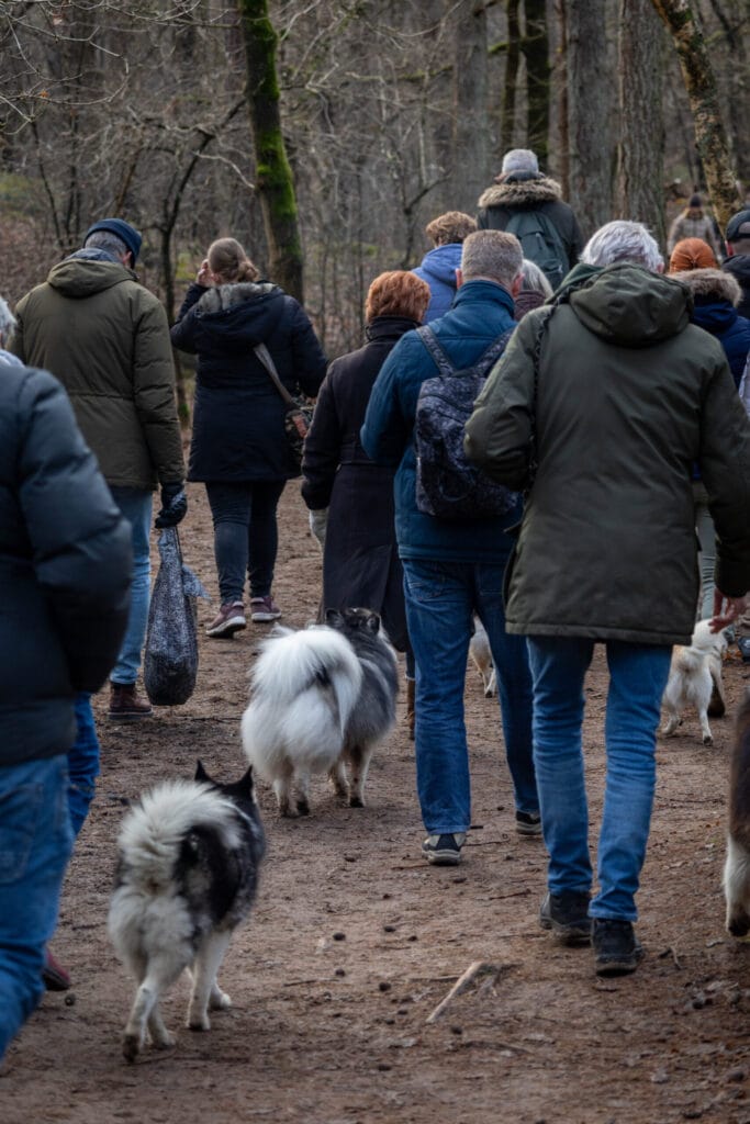 Nieuwjaarswandeling 2025