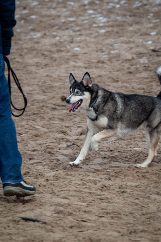 Nieuwjaarswandeling 2025