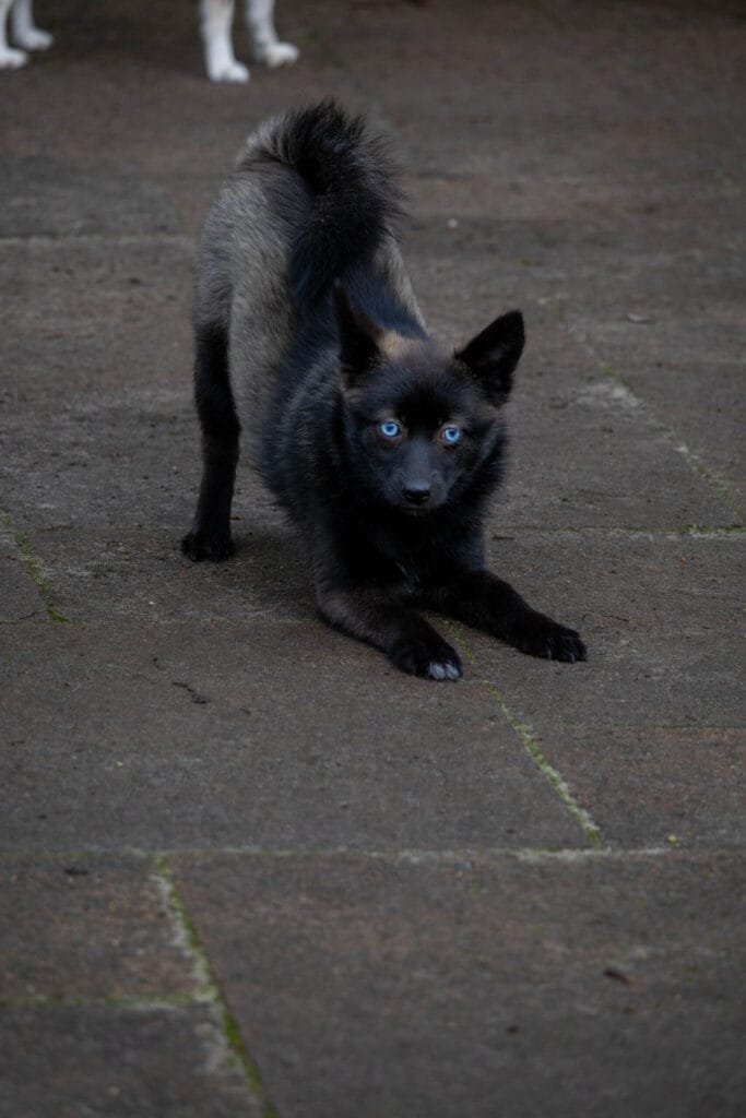 Nieuwjaarswandeling 2025