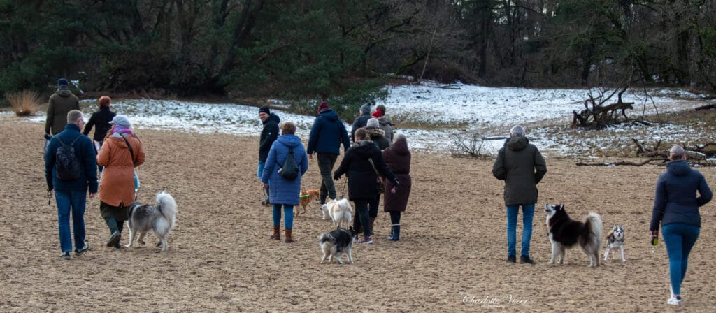 Nieuwjaarswandeling 2025