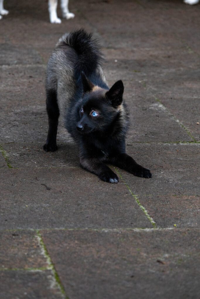 Nieuwjaarswandeling 2025