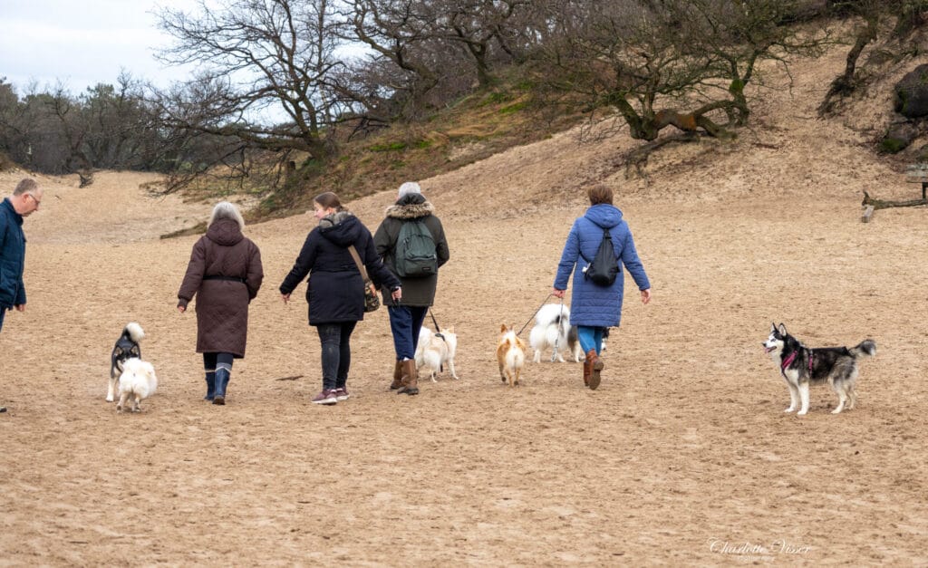 Nieuwjaarswandeling 2025
