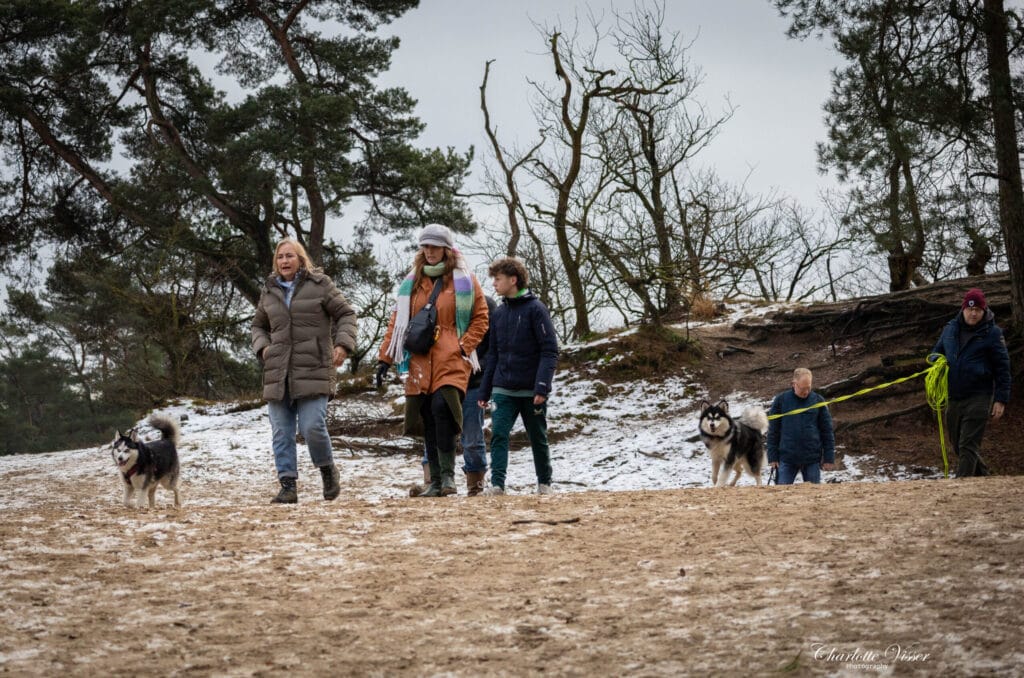 Nieuwjaarswandeling 2025