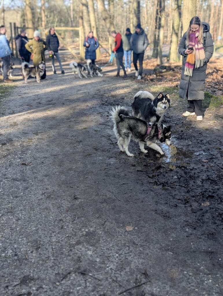 Winterwandeling 2025