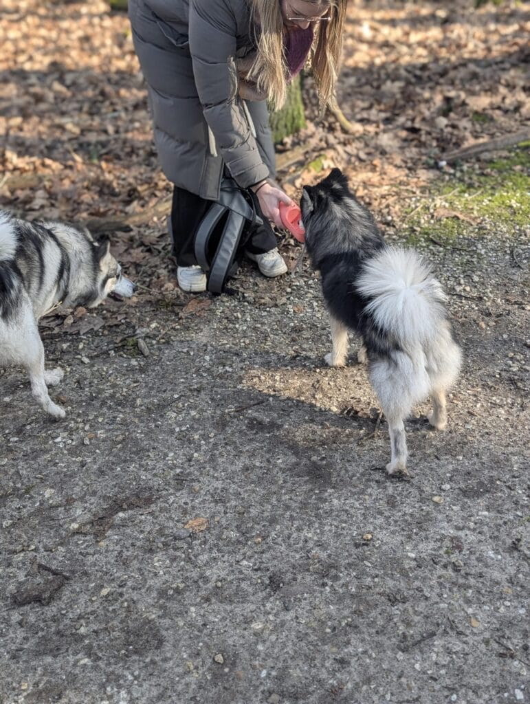 Winterwandeling 2025