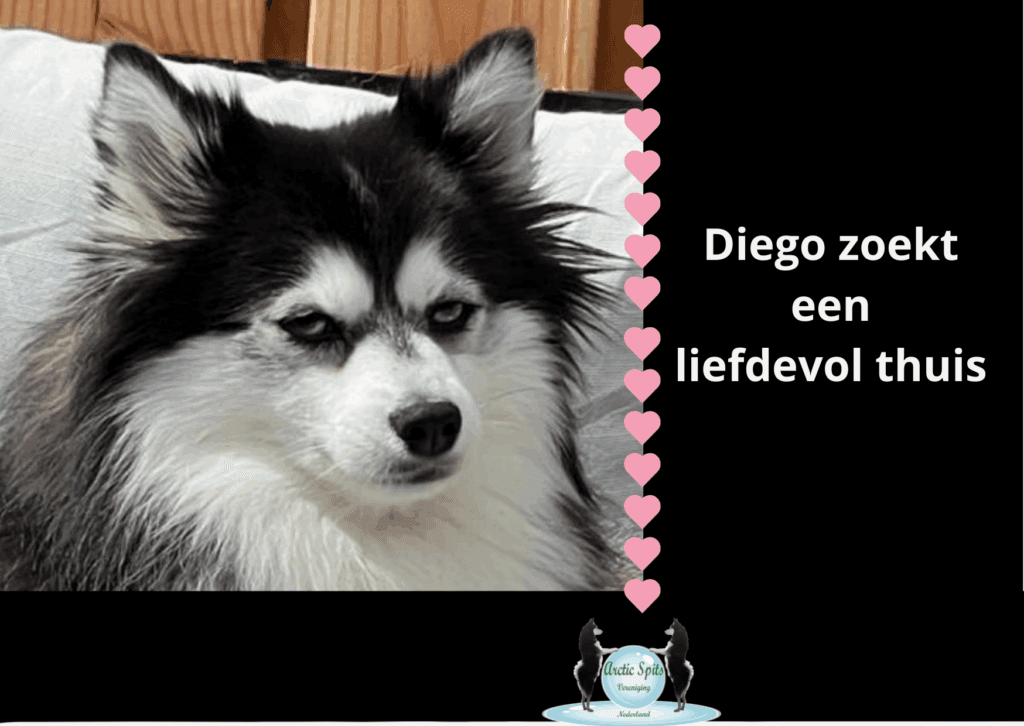Herplaatser - Diego
