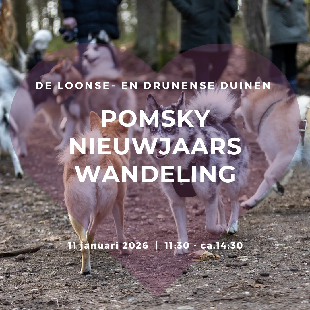 Nieuwjaarswandeling 2026